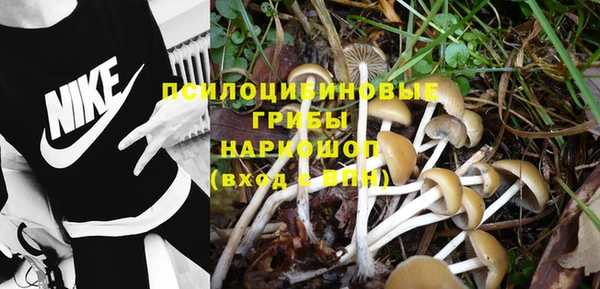 ГАЛЛЮЦИНОГЕННЫЕ ГРИБЫ Нязепетровск