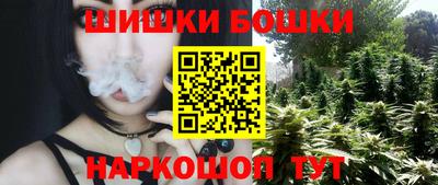 крисы Заводоуковск