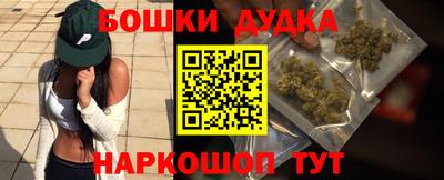 крисы Заводоуковск