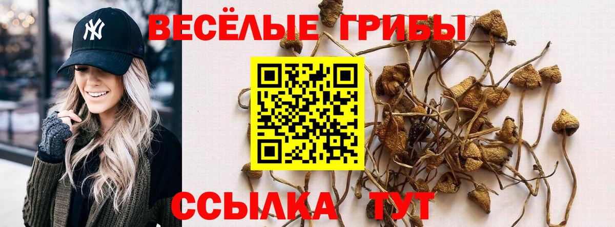 Псилоцибиновые грибы GOLDEN TEACHER Новый Уренгой
