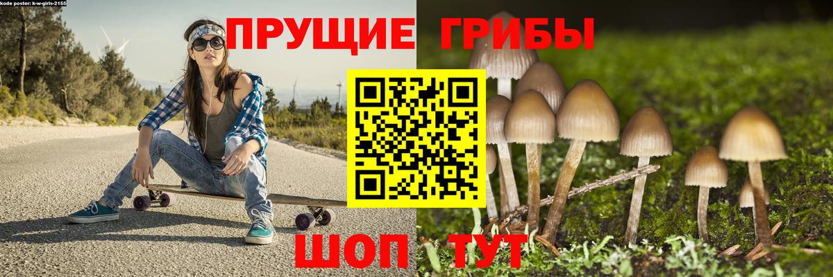 ГАШ Новый Уренгой